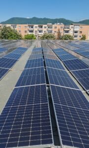 WhatsApp Image 2025-05-12 at 08.34.07